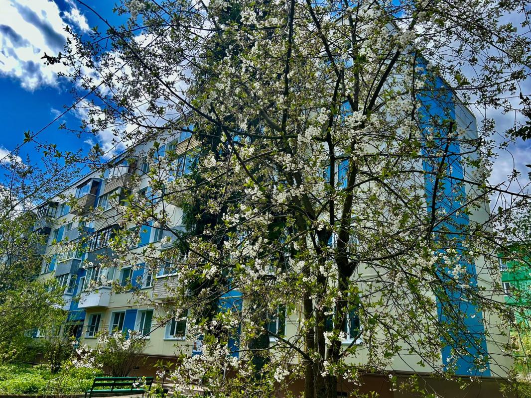 Продажа 3-комнатной квартиры, Солнечногорск, Подмосковная ул,  20