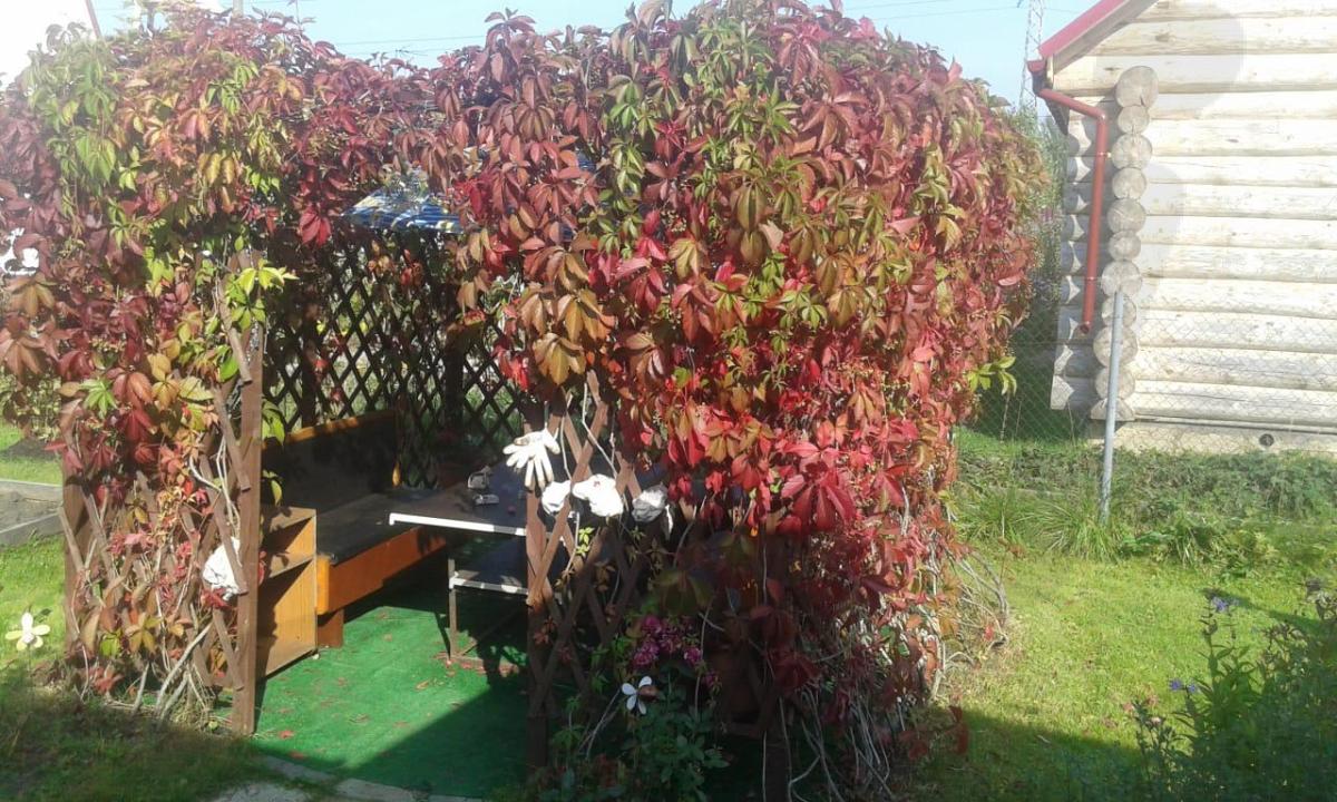 Продажа дачи, 45м <sup>2</sup>, 600 сот., Лаптево, Лаптево д,  198