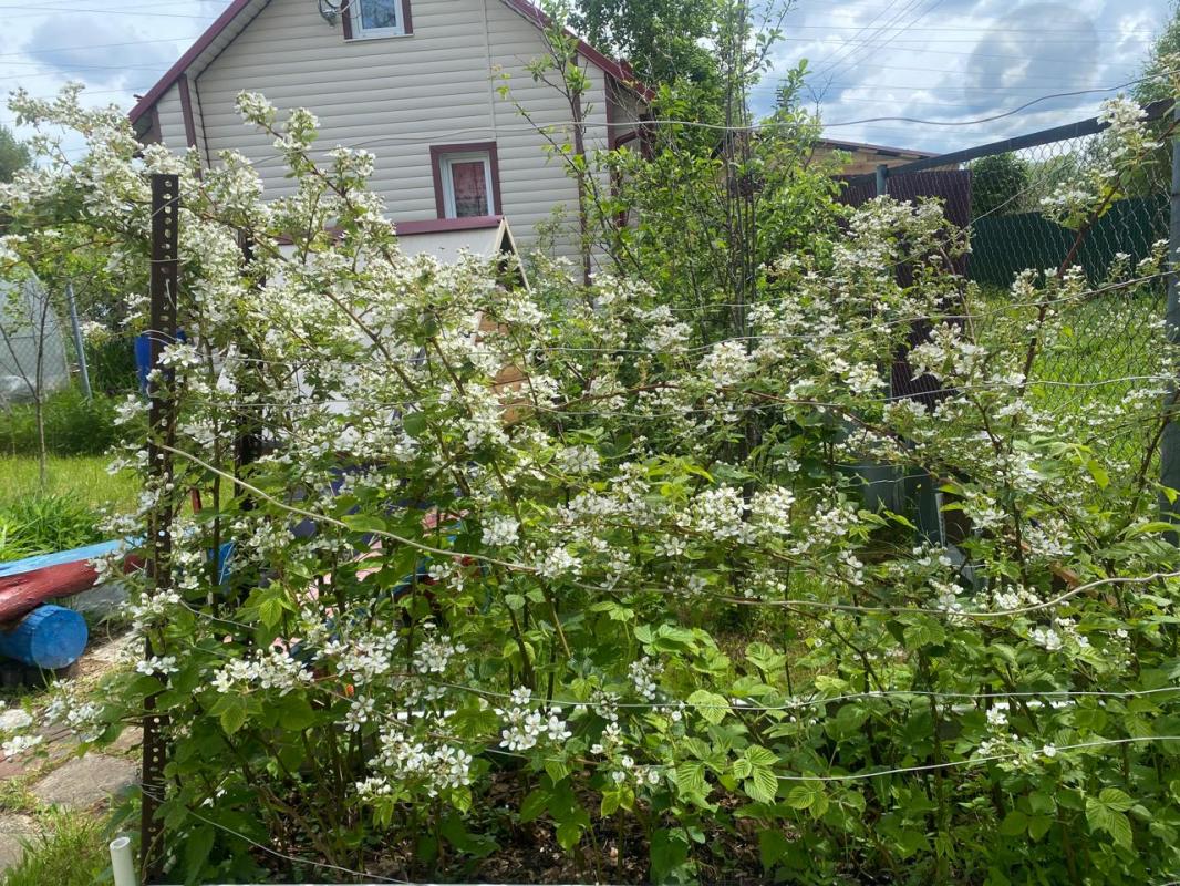 Продажа дачи, 45м <sup>2</sup>, 600 сот., Лаптево, Лаптево д,  198