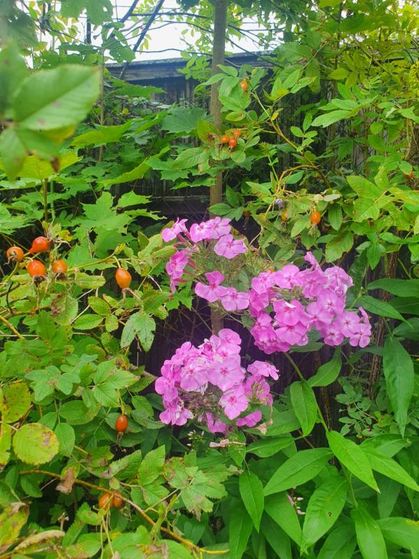 Продажа дома, 362м <sup>2</sup>, 1300 сот., Тимофеево, Тимофеево д,  24