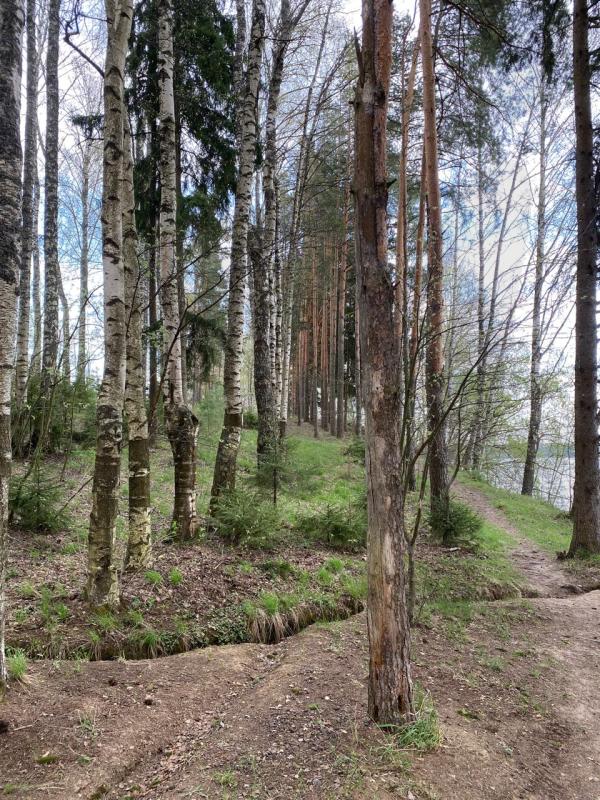 Продажа дома, 362м <sup>2</sup>, 1300 сот., Тимофеево, Тимофеево д,  24