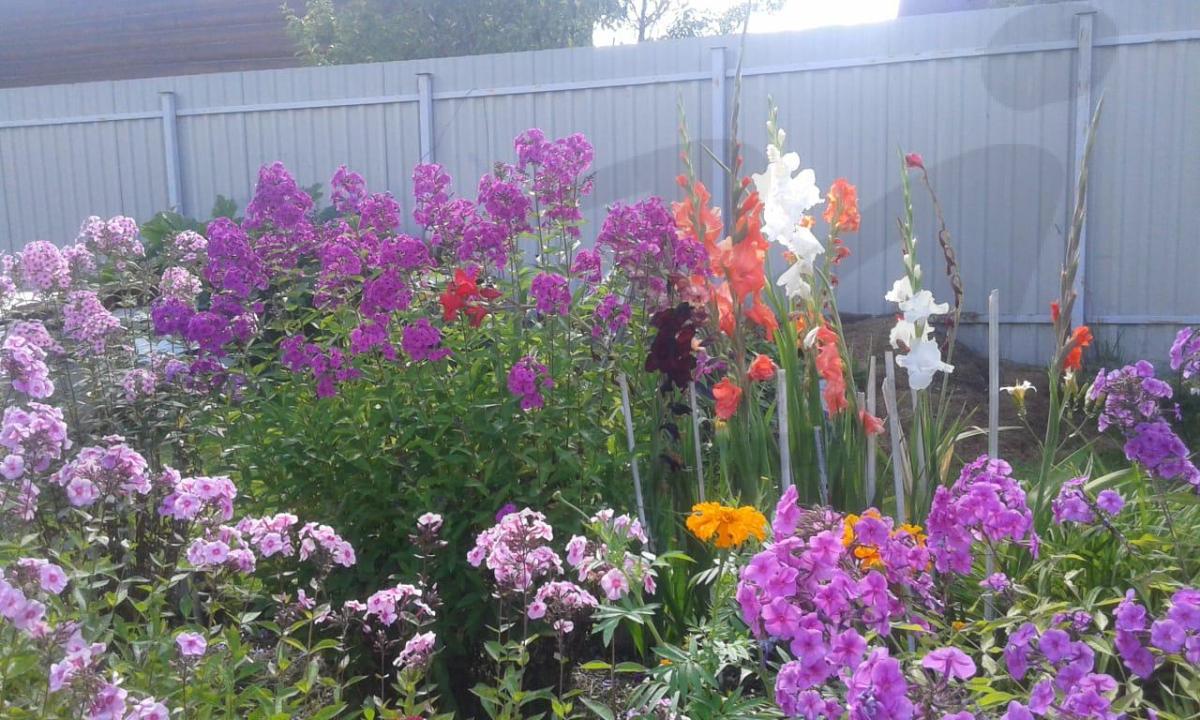 Продажа дачи, 45м <sup>2</sup>, 600 сот., Лаптево, Лаптево д,  198