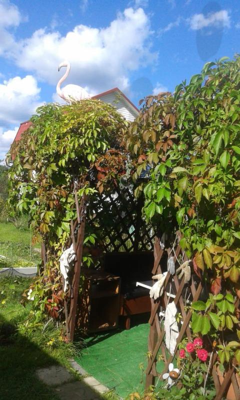 Продажа дачи, 45м <sup>2</sup>, 600 сот., Лаптево, Лаптево д,  198