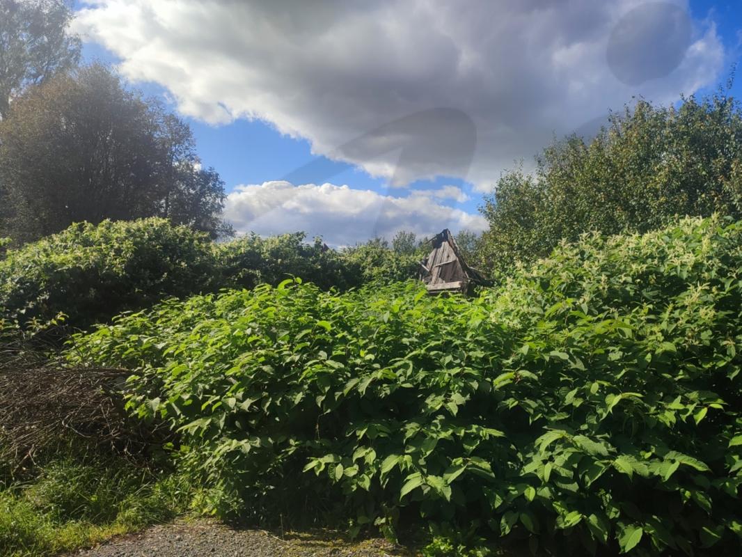 Продажа участка, Редино, Редино д